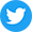 twitter-icon